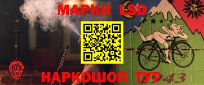 спайс Дубна