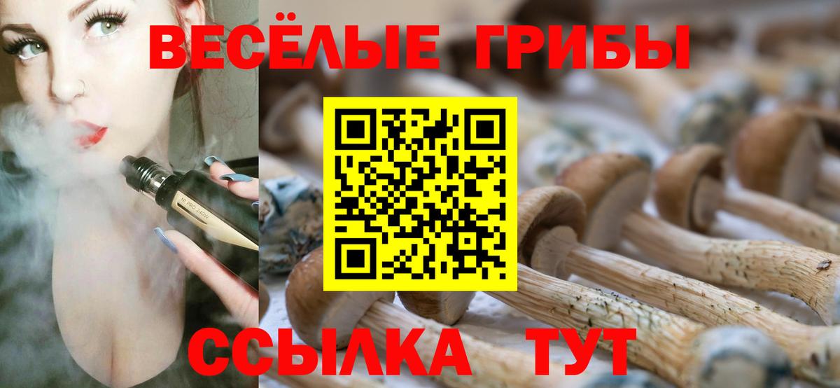 Псилоцибиновые грибы ЛСД  Галлюциногенные грибы Psilocybe  Вход с VPN  сколько стоит  Владикавказ 